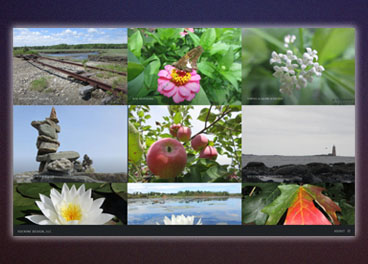 website template - featured photos one-page